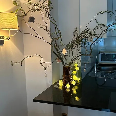 Apartment Gelegen Gezellig Met Groot Terras Ostend