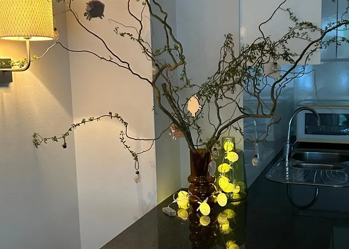 Appartement Gelegen Gezellig Met Groot Terras Ostende