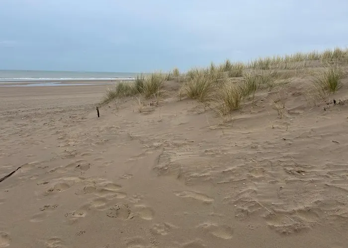 Gelegen Gezellig Met Groot Terras